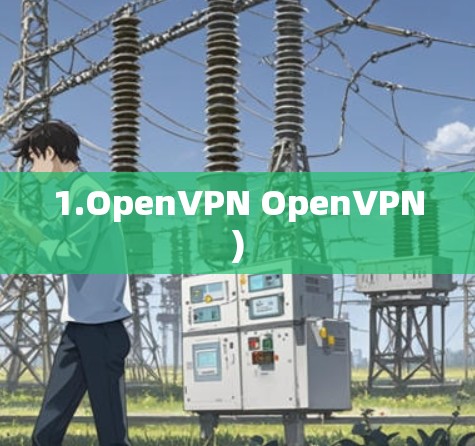 1.OpenVPN OpenVPN)
