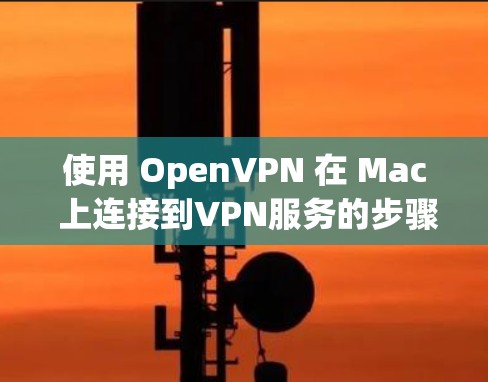 使用 OpenVPN 在 Mac 上连接到VPN服务的步骤如下