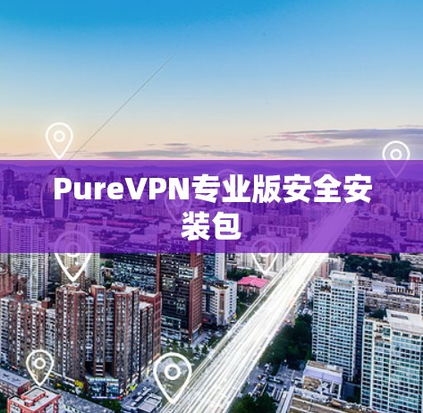 PureVPN专业版安全安装包