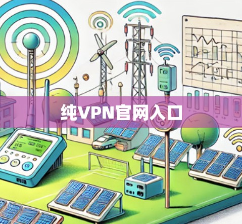 纯VPN官网入口