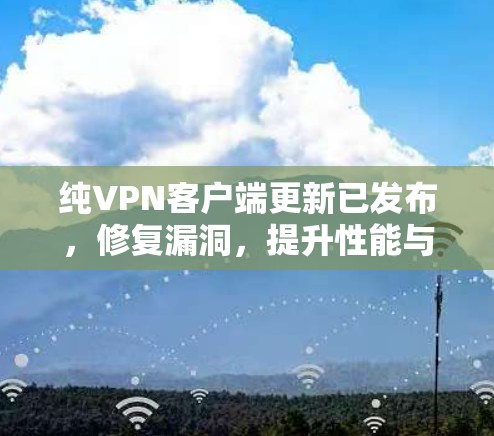 纯VPN客户端更新已发布，修复漏洞，提升性能与安全