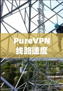 PureVPN线路速度测试，性能分析与优化建议