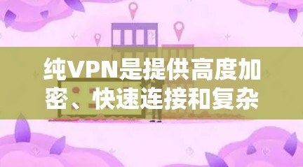 纯VPN是提供高度加密、快速连接和复杂安全设置的网络服务,旨在为用户提供一个安全、隐私和高效可靠的网络环境。以下是纯VPN的使用体验的详细分析