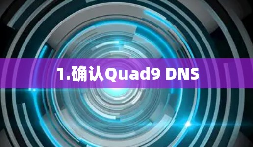 1.确认Quad9 DNS