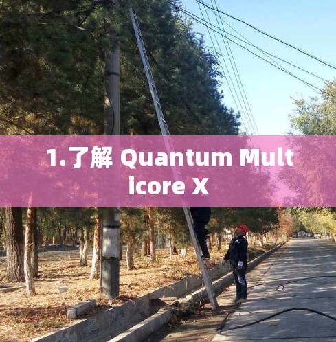 1.了解 Quantum Multicore X