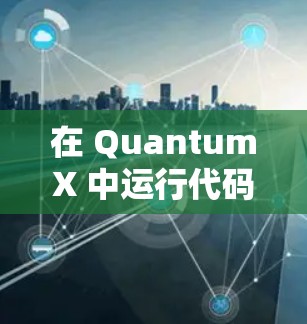 在 QuantumX 中运行代码