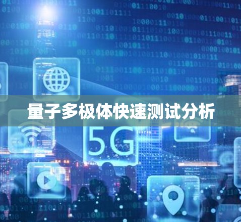 量子多极体快速测试分析