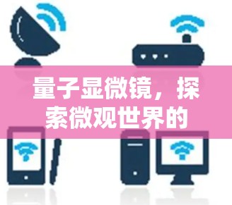 2026年9月 第11页