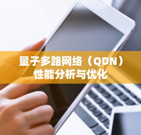 量子多路网络（QDN）性能分析与优化