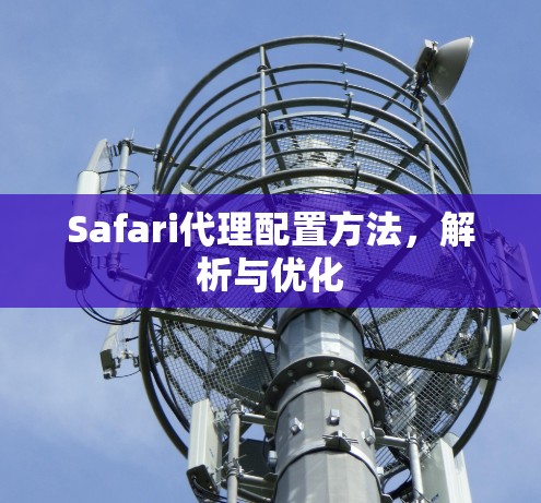 Safari代理配置方法，解析与优化