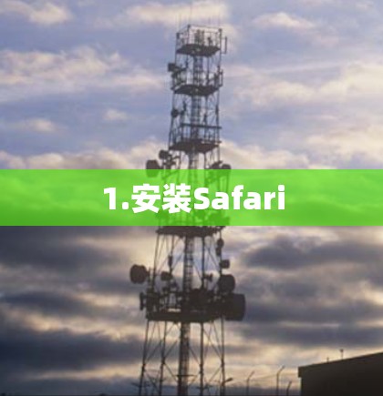 1.安装Safari