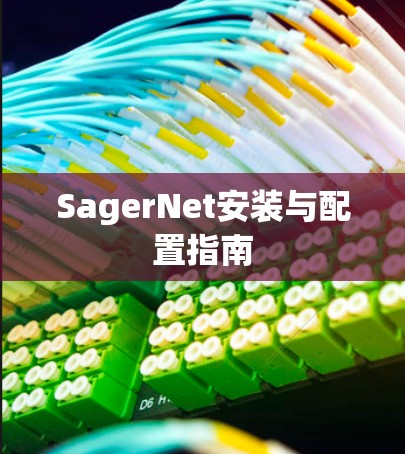 SagerNet安装与配置指南