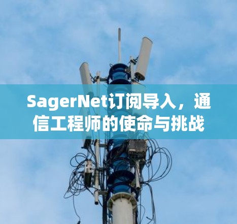 SagerNet订阅导入，通信工程师的使命与挑战