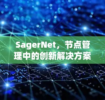 SagerNet,节点管理中的创新解决方案