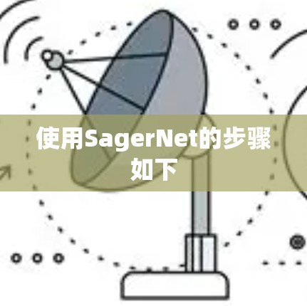 使用SagerNet的步骤如下