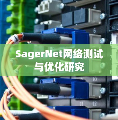 SagerNet网络测试与优化研究