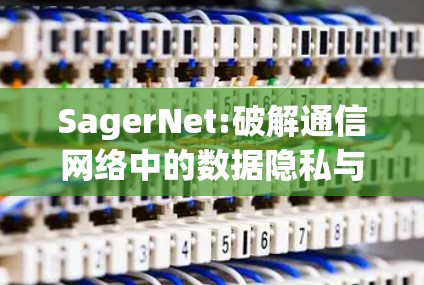 SagerNet:破解通信网络中的数据隐私与安全难题
