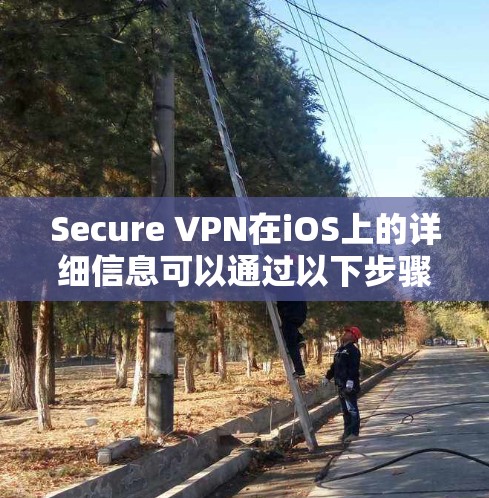 Secure VPN在iOS上的详细信息可以通过以下步骤获取