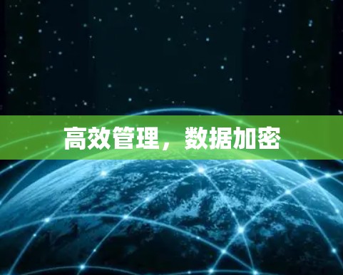 高效管理，数据加密