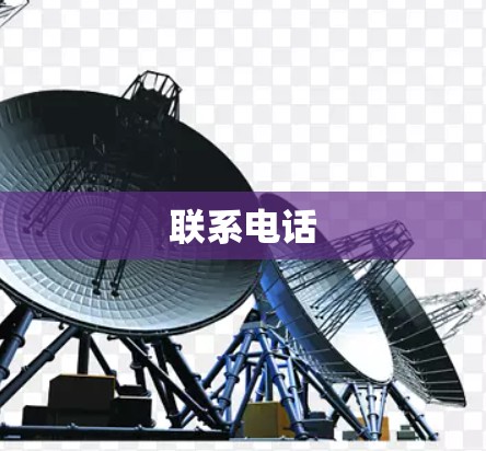 联系电话