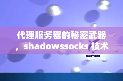 代理服务器的秘密武器,shadowssocks 技术如何让服务器成为远程访问的终极武器