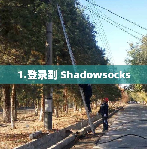 1.登录到 Shadowsocks