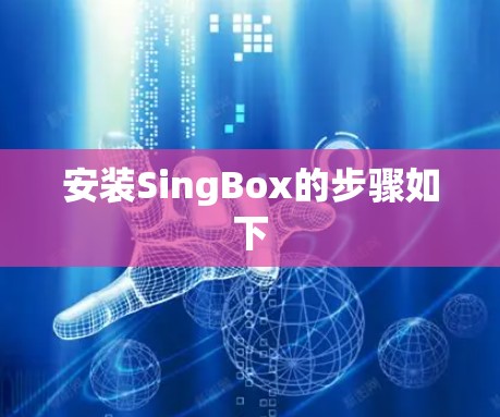 安装SingBox的步骤如下