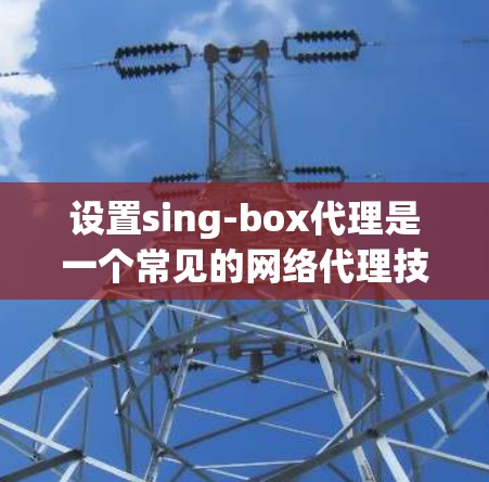 设置sing-box代理是一个常见的网络代理技术，用于代理IP地址、URL信息等请求。以下是一个详细的设置指南，帮助您轻松完成代理设置