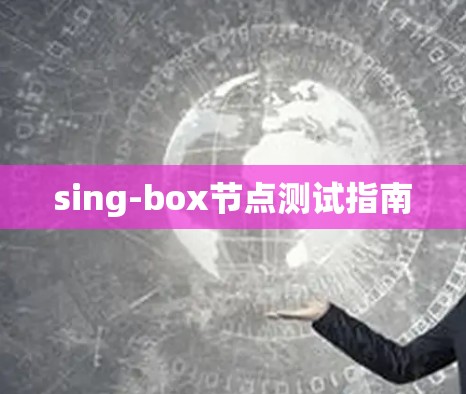 sing-box节点测试指南