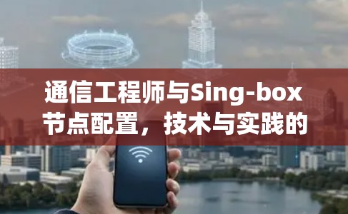 通信工程师与Sing-box节点配置，技术与实践的完美结合