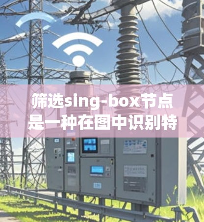 筛选sing-box节点是一种在图中识别特定标签节点的操作，具体步骤如下