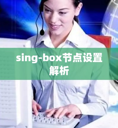 sing-box节点设置解析