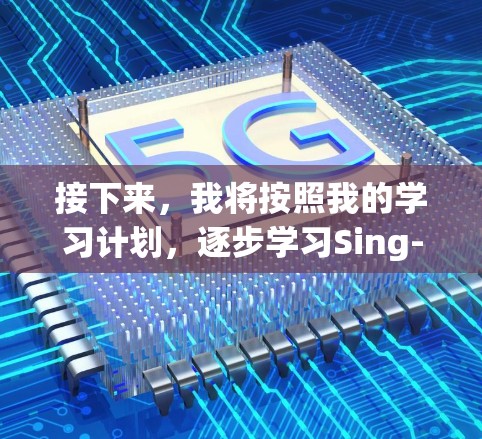 接下来，我将按照我的学习计划，逐步学习Sing-box