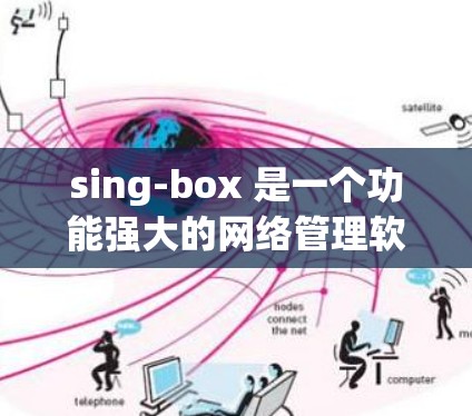 sing-box 是一个功能强大的网络管理软件，用于管理网络设备、防火墙、设备配置、设备状态和安全设置。以下是 sing-box 的主要功能和步骤
