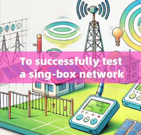 To successfully test a sing-box network,follow these organized steps: