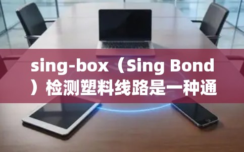 sing-box（Sing Bond）检测塑料线路是一种通过检测塑料制品中的有害物质来评估是否符合环保标准的方法。以下是sing-box检测塑料线路的具体步骤和方法